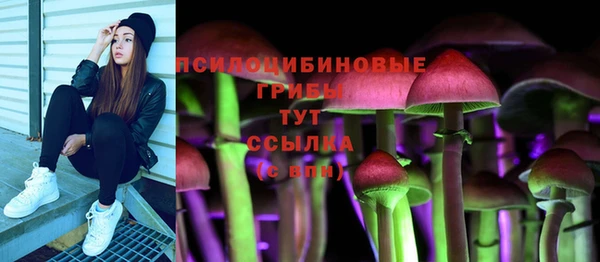 2c-b Михайловск