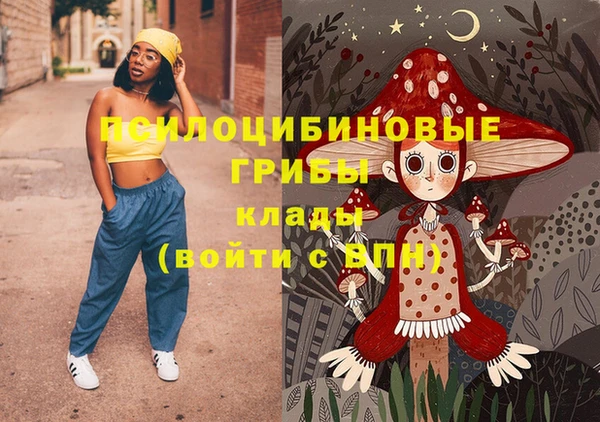 2c-b Михайловск